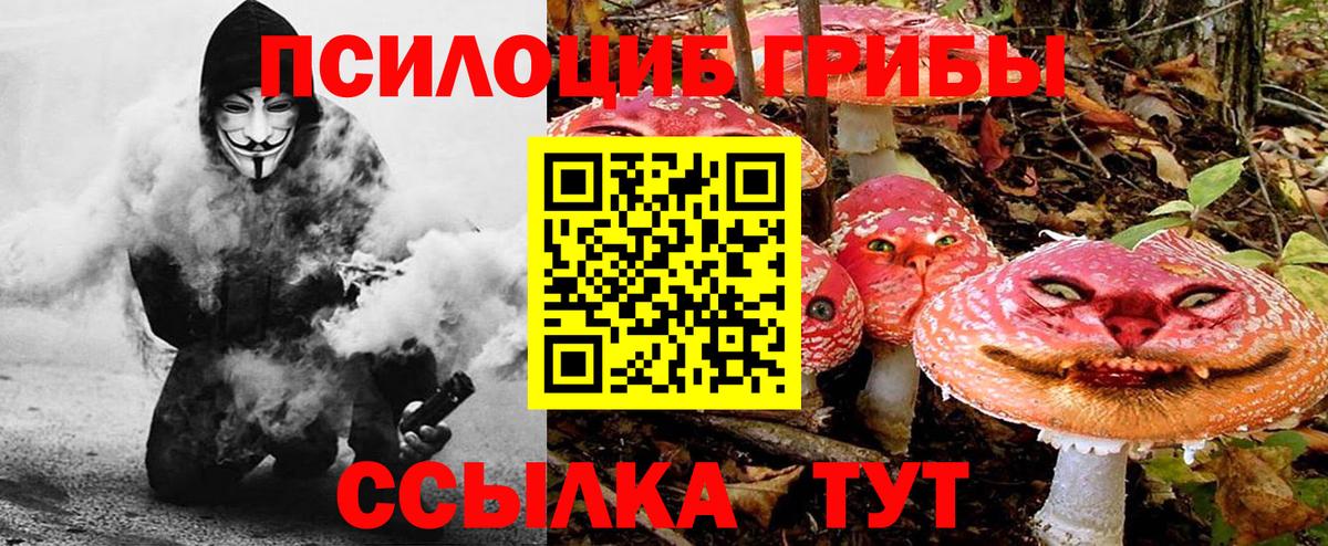 Дубна  Галлюциногенные грибы Magic Shrooms  Вход с VPN 